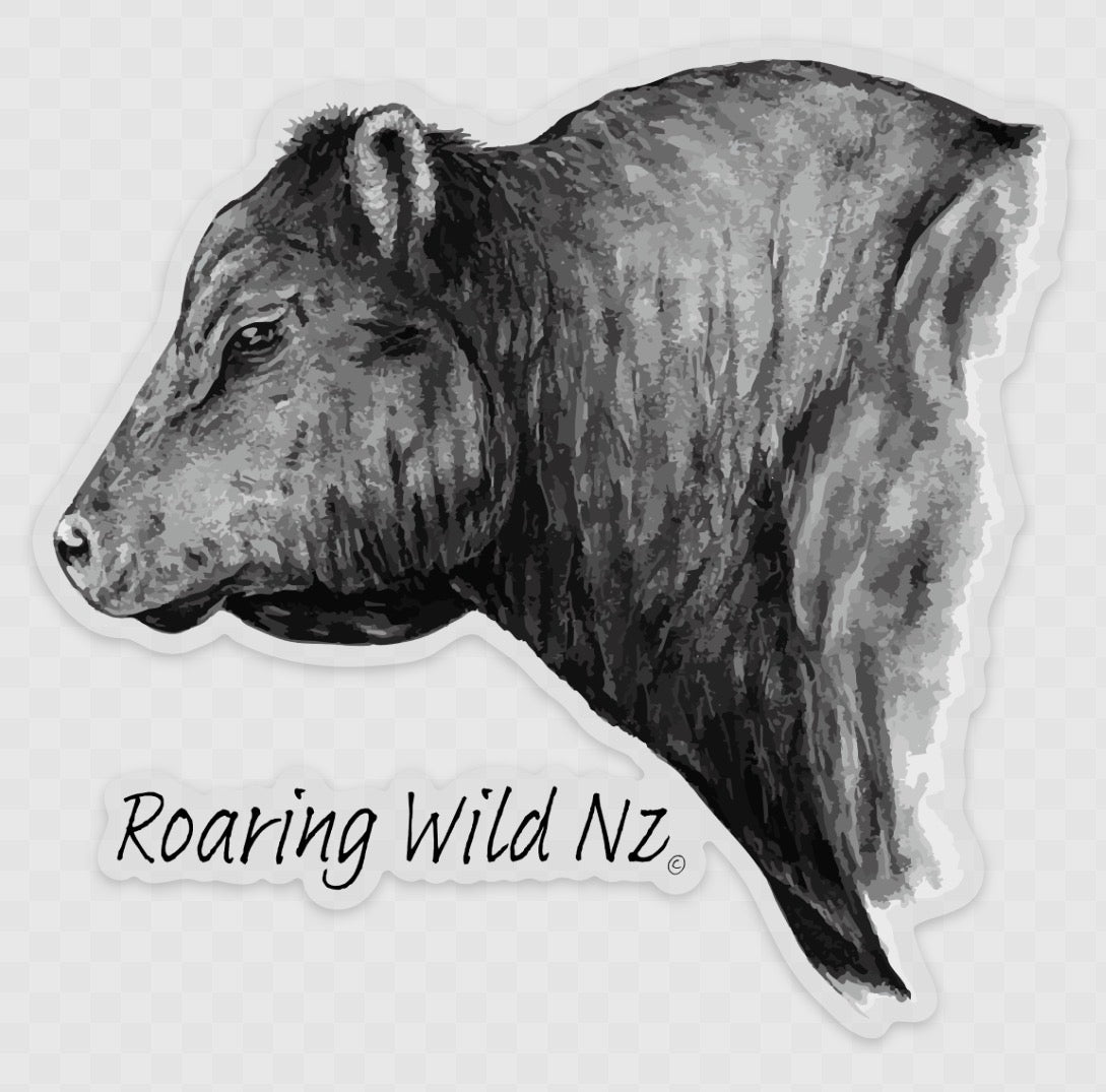 Angus Bull Sticker