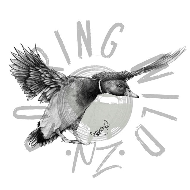 Black and white Mallard Drake Coming in original print