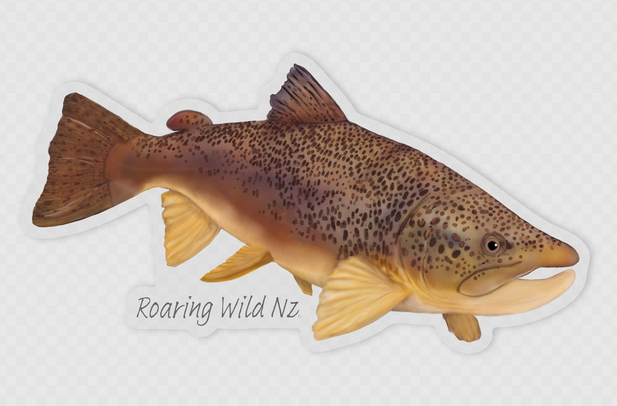 Brown Trout Sticker