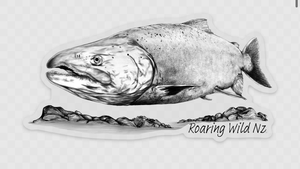 Salmon Sticker