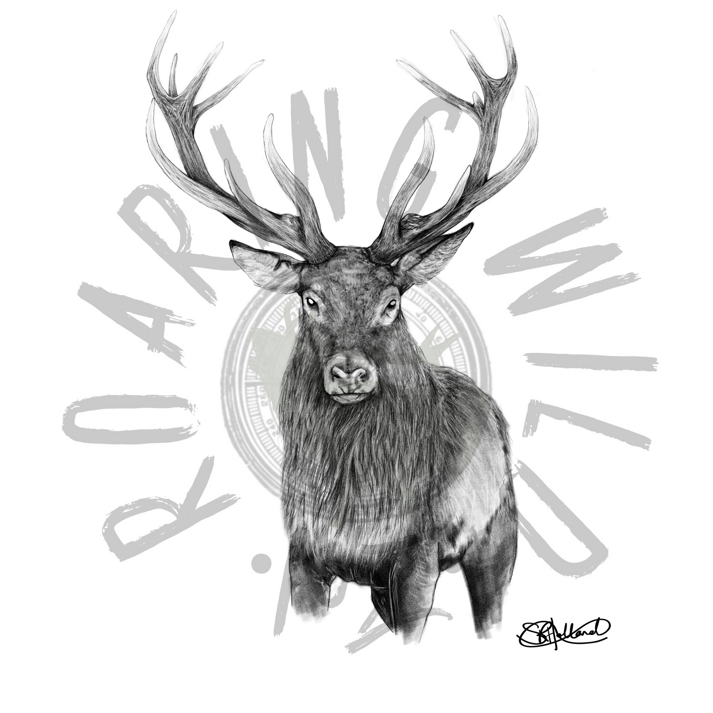 Black and white standing stag original print