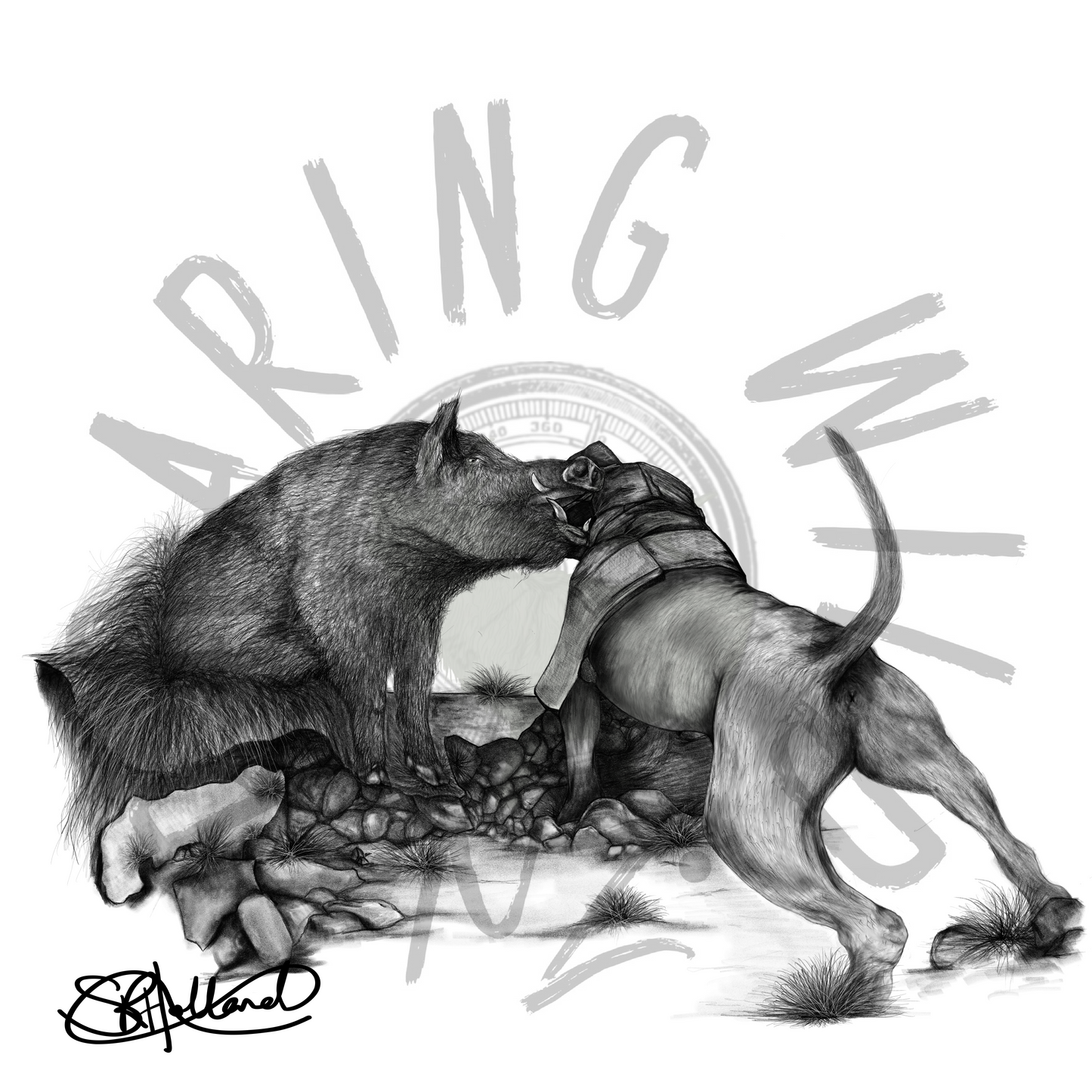 Black and White Dog Bailing Boar original print