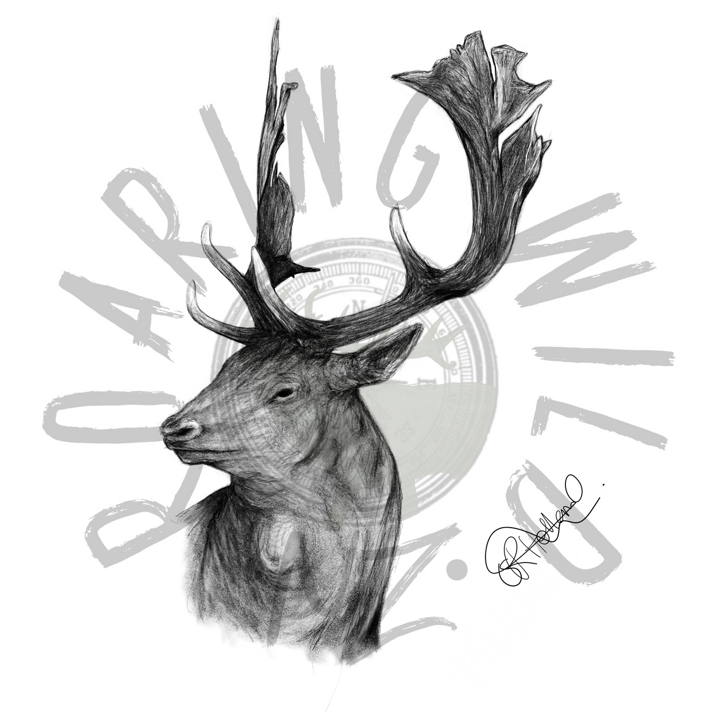 Fallow Buck Head original print