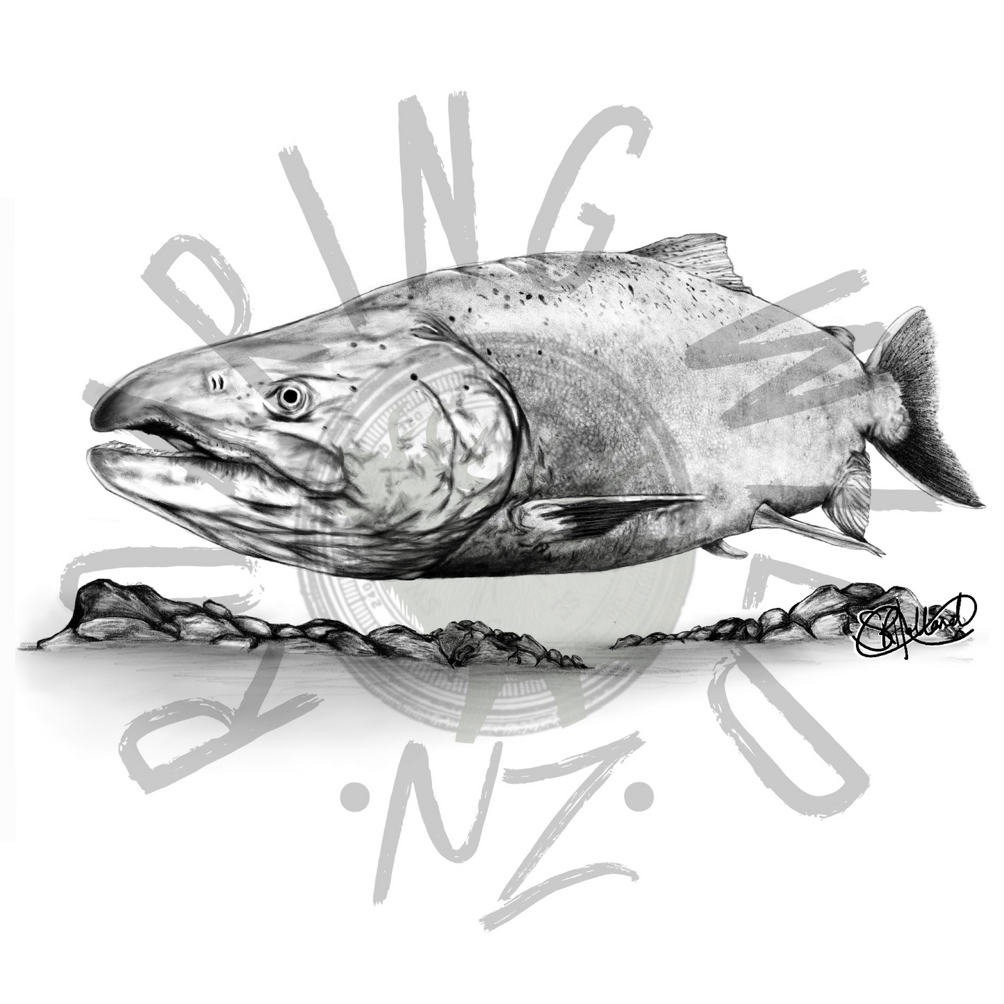 Chinook Salmon original print