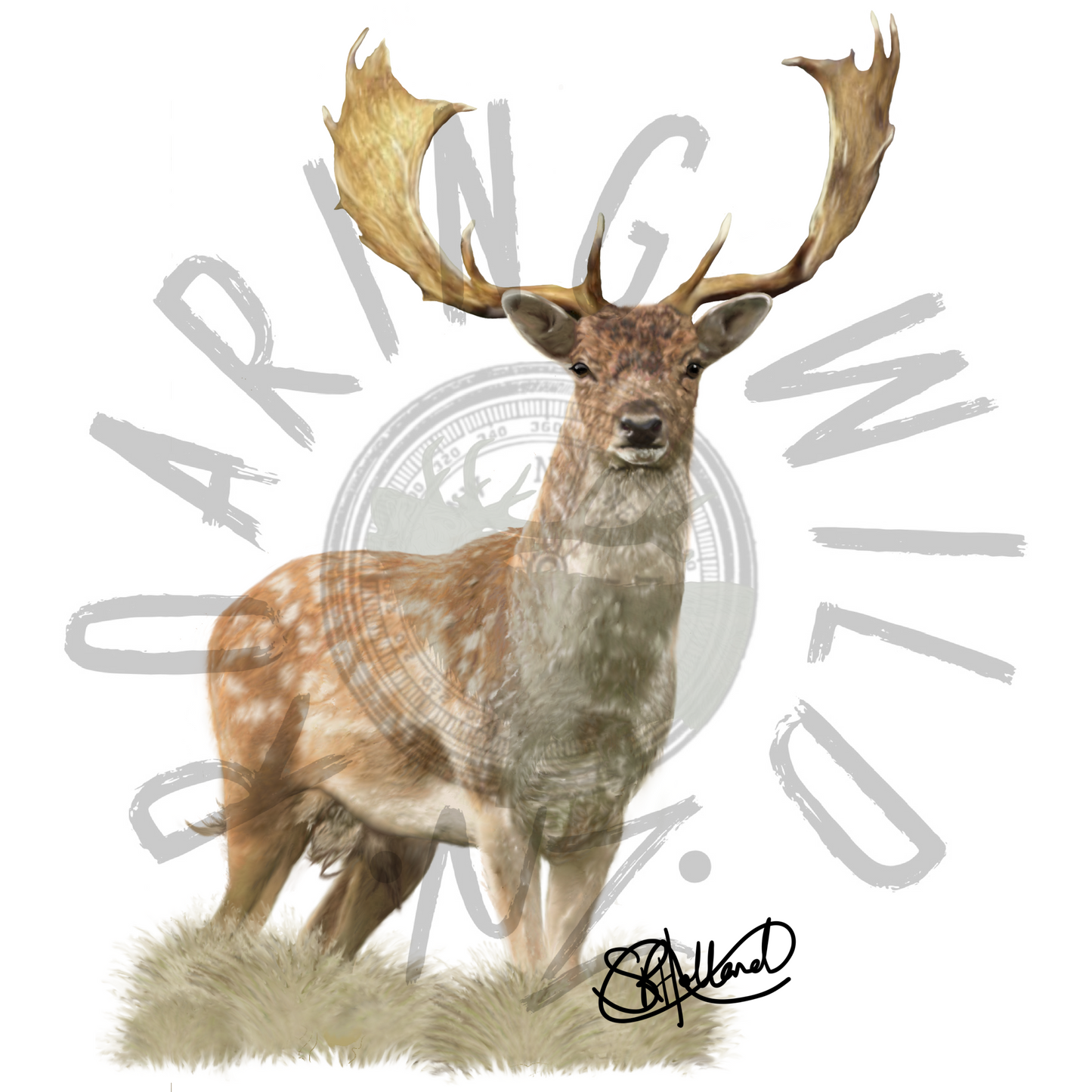 Fallow Buck original print