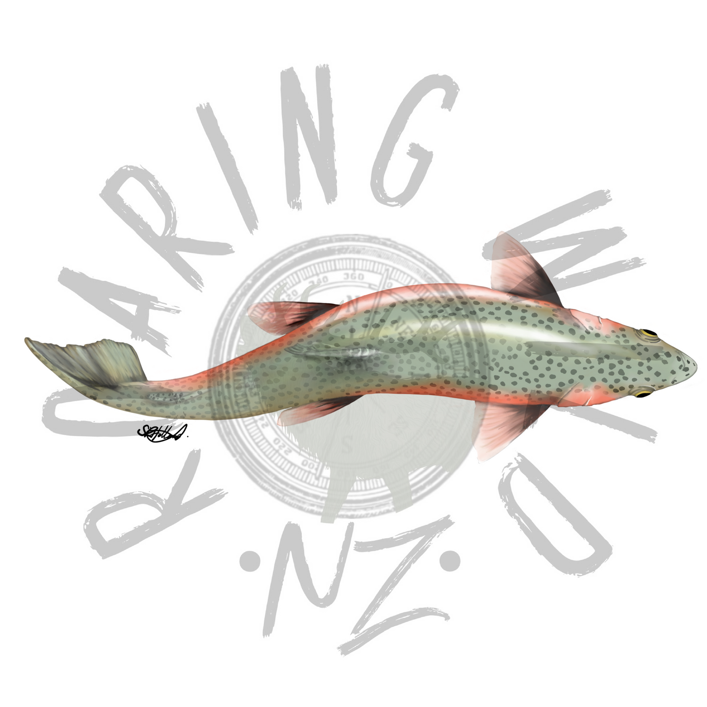 Above Rainbow Trout original print