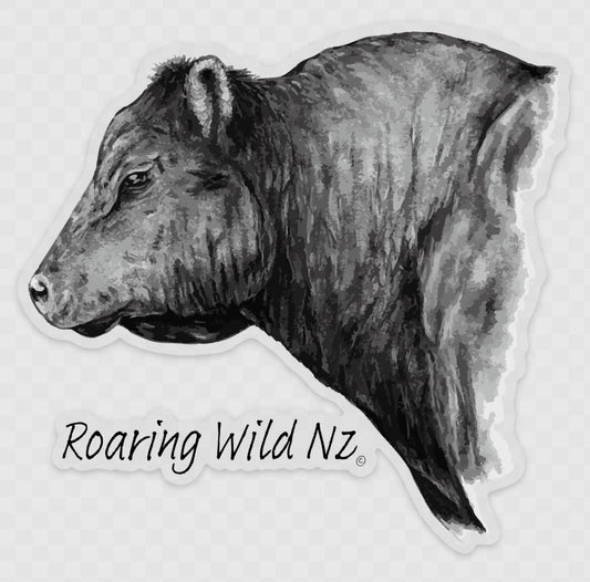 Angus Bull Sticker