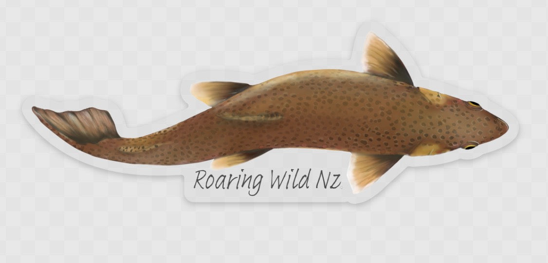Above Brown Trout Sticker
