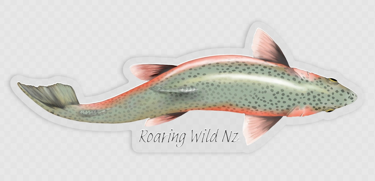 Above Rainbow Trout Sticker