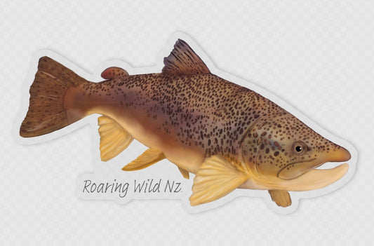 Brown Trout Sticker