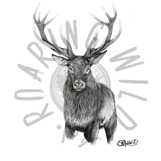 Black and white standing stag original print