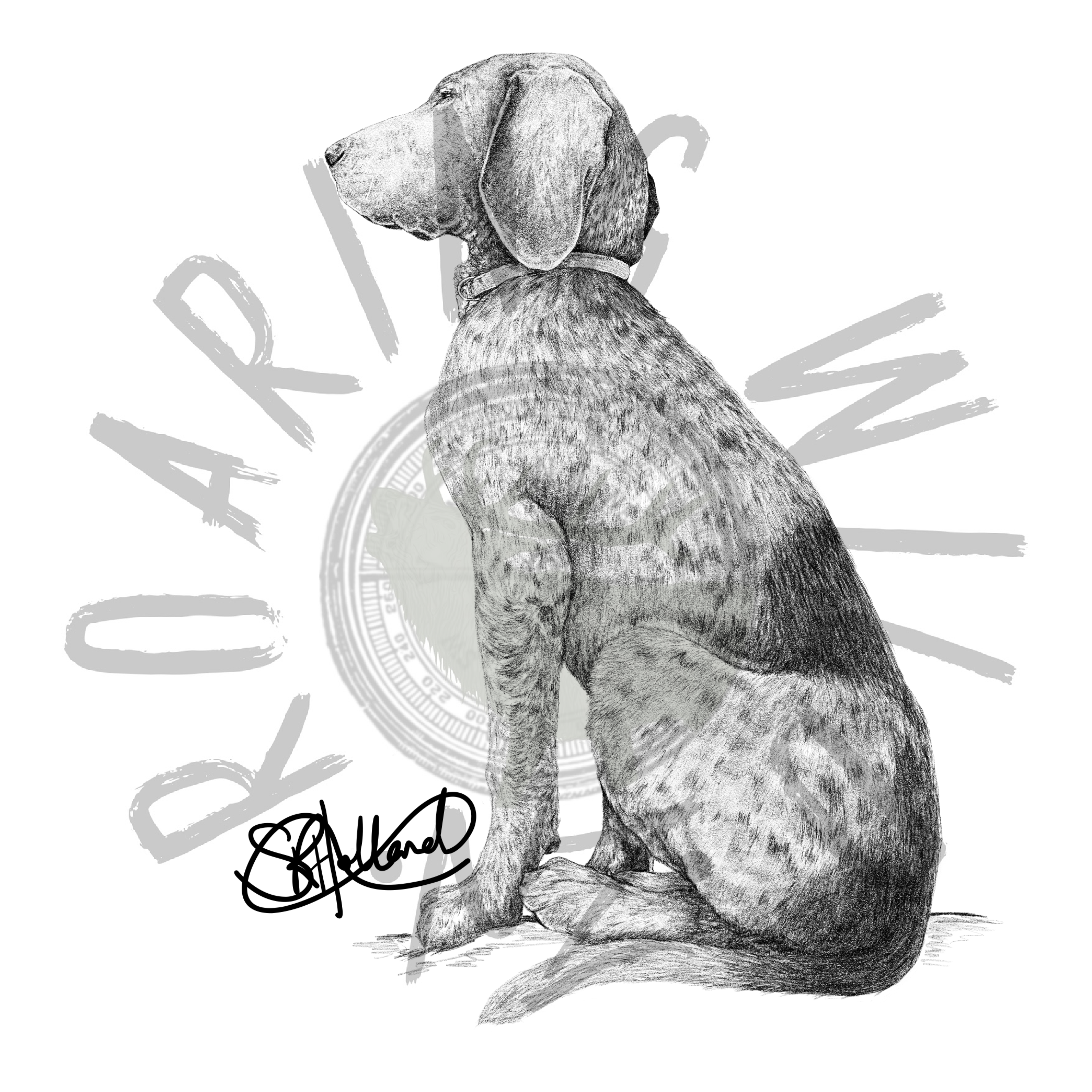 GSP original print – Roaring Wild NZ Ltd