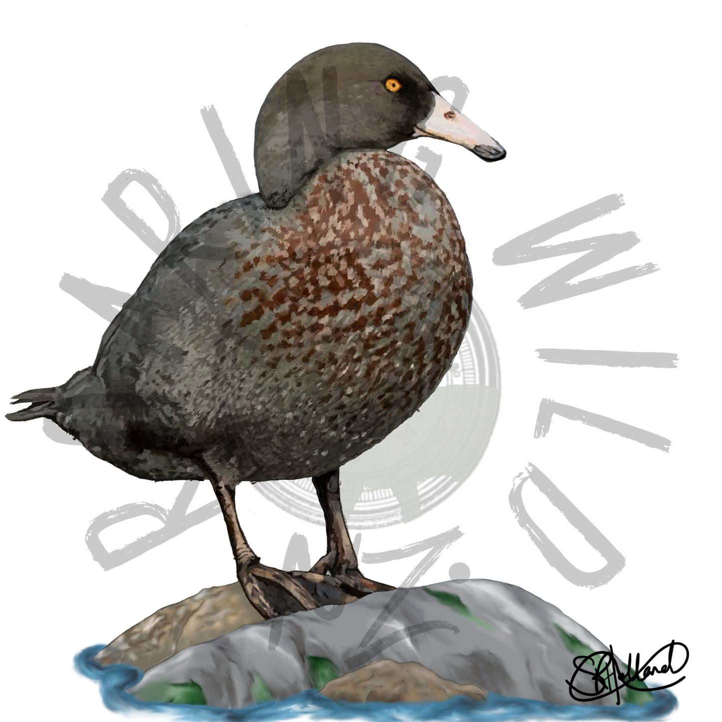 Blue Duck original print